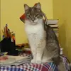 Отзыв от Наиля Артамонова